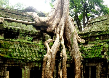 Angkor04