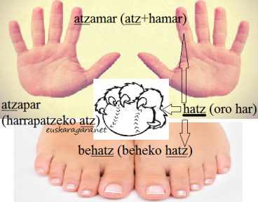 Arau aldaketak gramatika eta hiztegian. Ados?