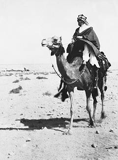Lawrence Akaban, 1917 Jordania