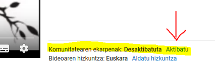 Azpitituluak, ezinbestekoak euskara bultzatzeko. YouTube-n egin daitekeena.