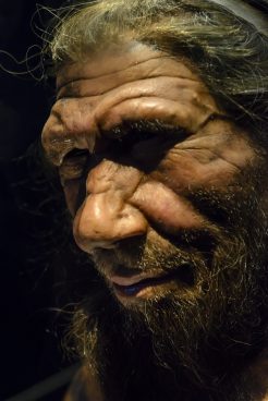 Lehen euskara, neandertal gizakiena