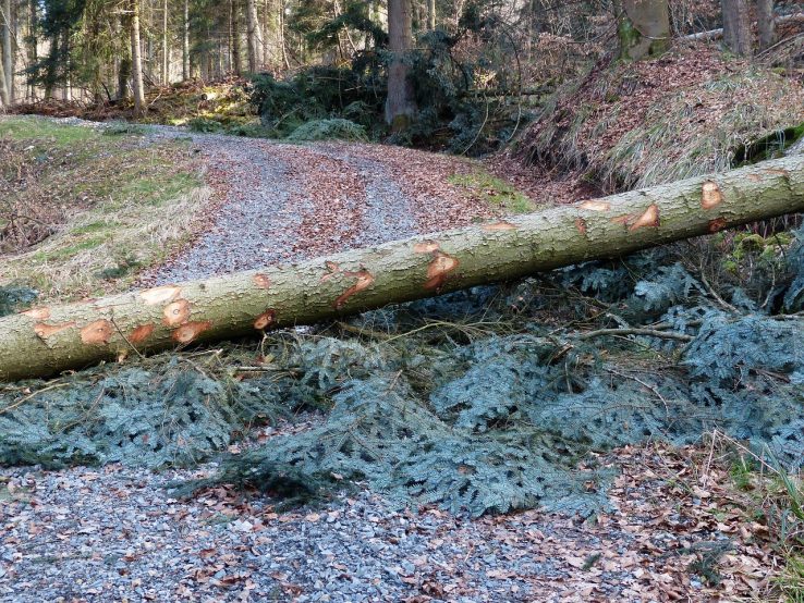 Euskararen laguntzaile ala poxelu