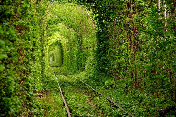 Tunnel of Love Railway (Ukrania)