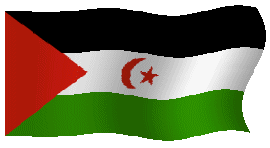 Saharako Errepublika Arabiar Demokratikoa: 40 urte